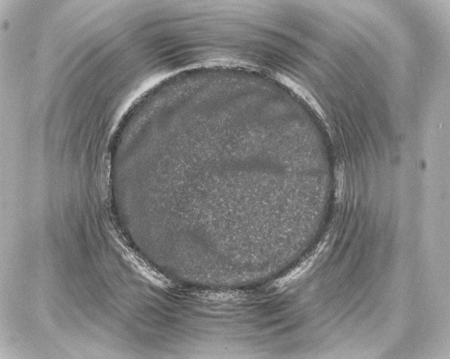 X0000087671021200705251613