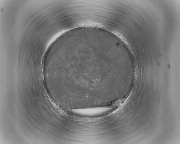 X0000087671022200705251613