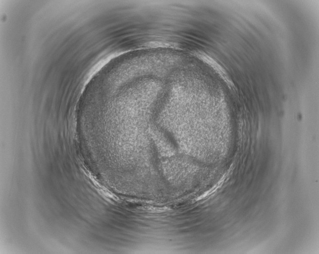 X0000087671023200705251613