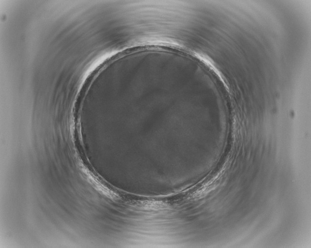 X0000087671024200705251613