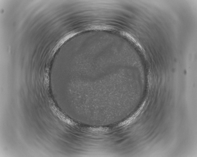 X0000087671025200705251613