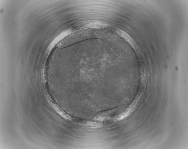 X0000087671026200705251613