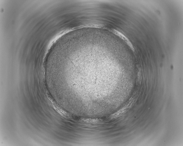 X0000087671027200705251613