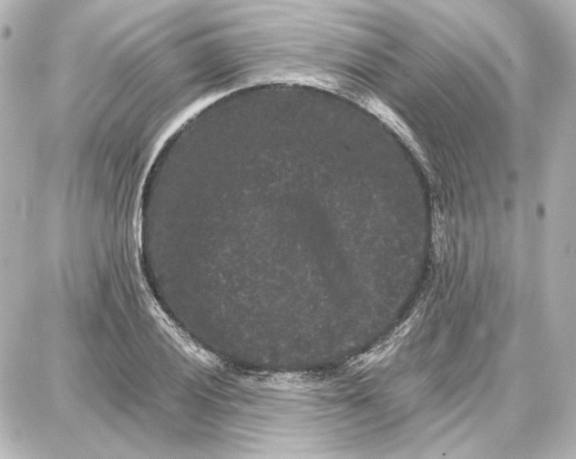 X0000087671028200705251613