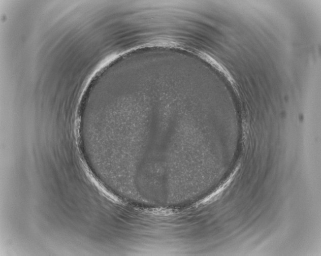 X0000087671029200705251613