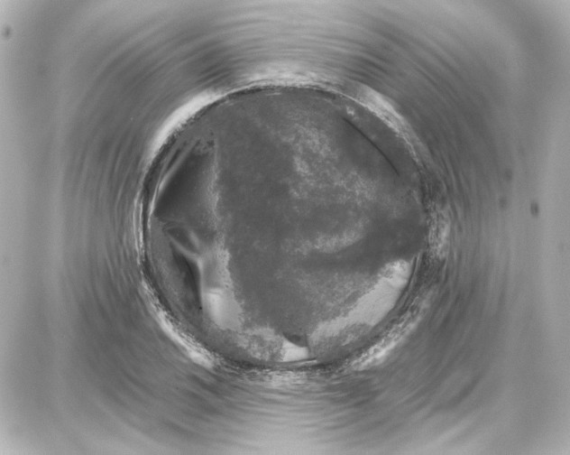 X0000087671030200705251613