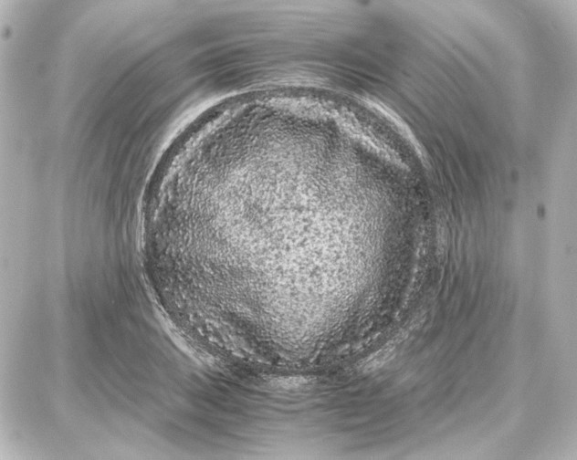 X0000087671031200705251614