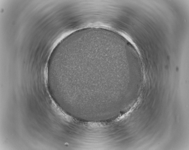 X0000087671032200705251614