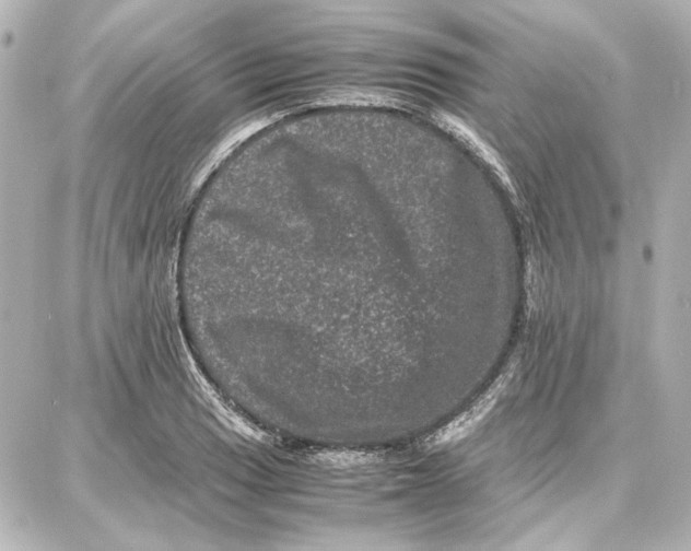 X0000087671033200705251614