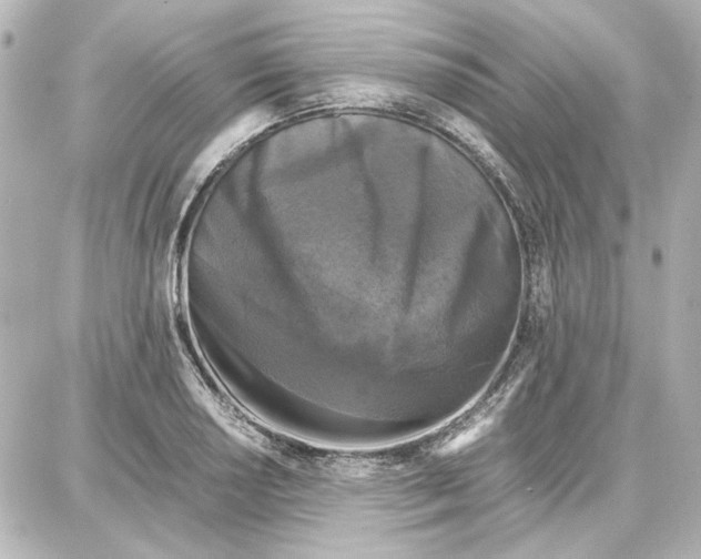 X0000087671034200705251614