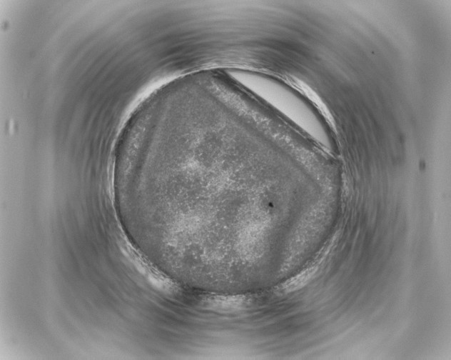 X0000087671035200705251614