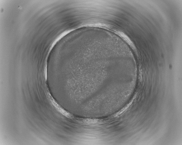 X0000087671036200705251614