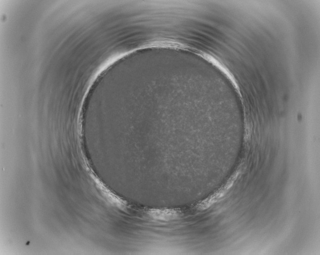 X0000087671037200705251614