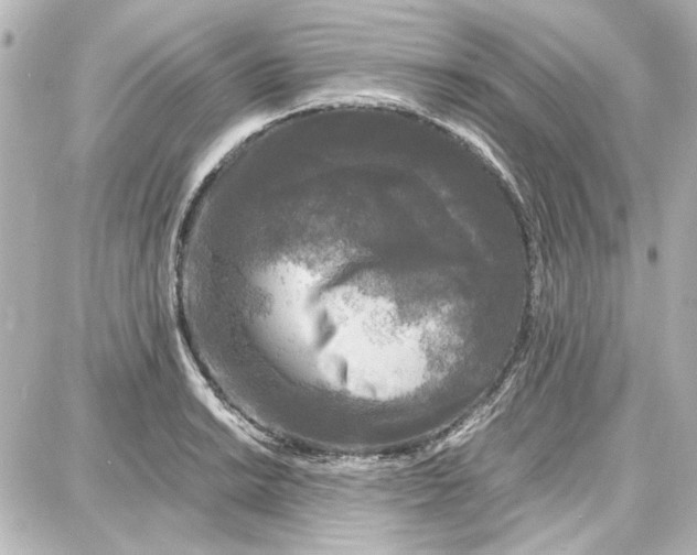 X0000087671038200705251614