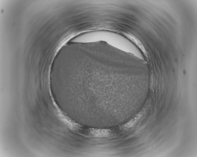 X0000087671039200705251614