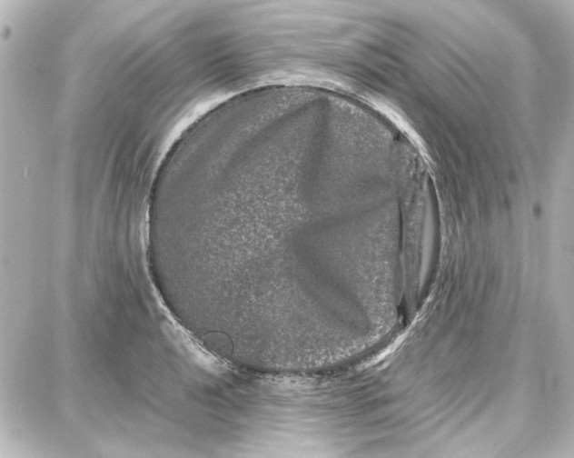 X0000087671040200705251614