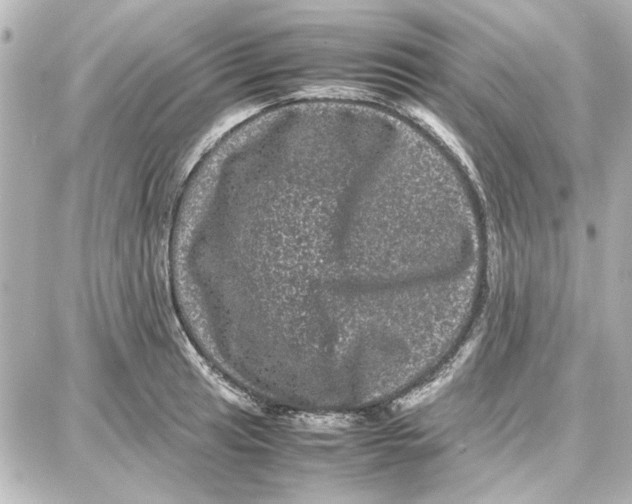 X0000087671041200705251614