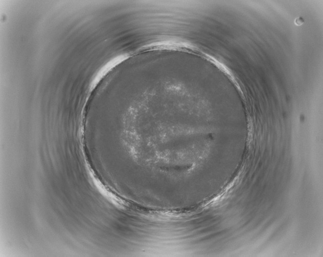 X0000087671042200705251614