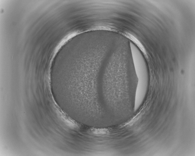 X0000087671043200705251614