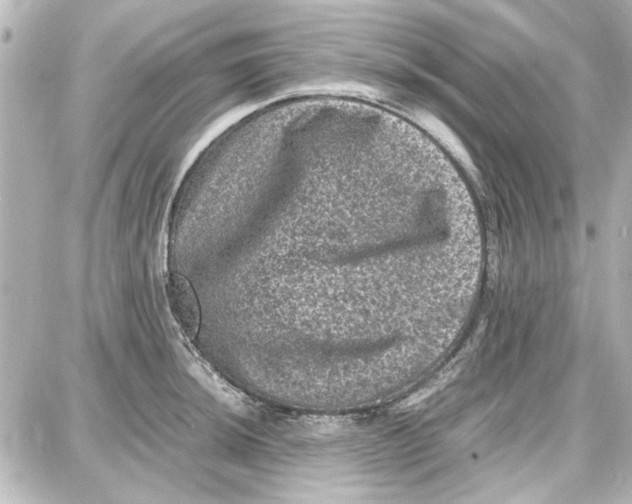 X0000087671044200705251614