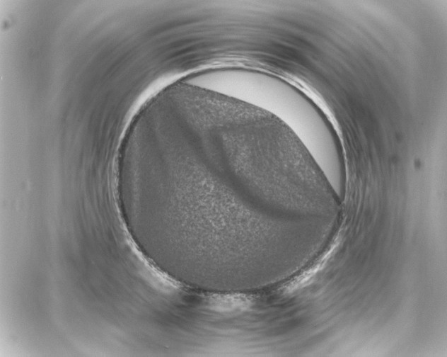 X0000087671045200705251614