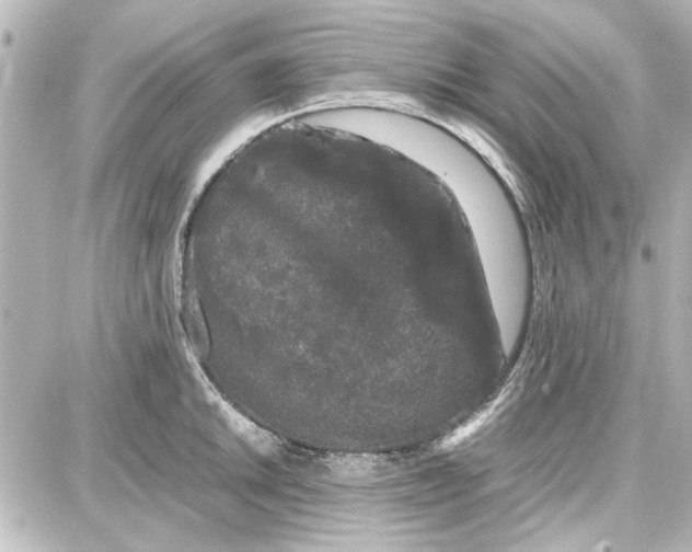 X0000087671046200705251614