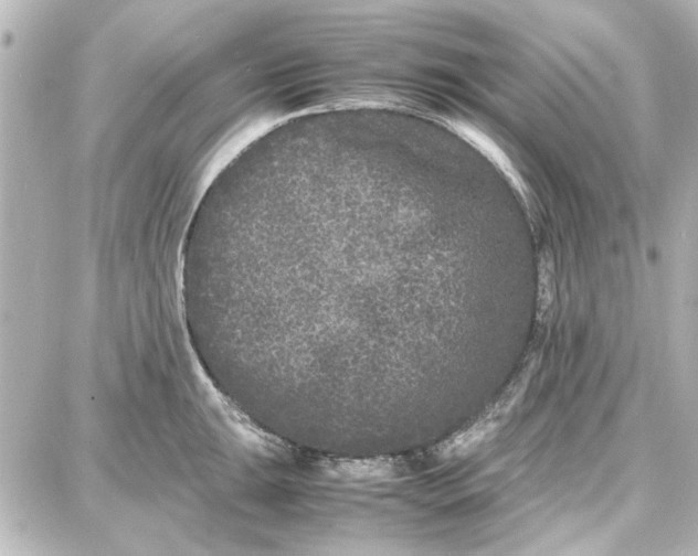 X0000087671047200705251614