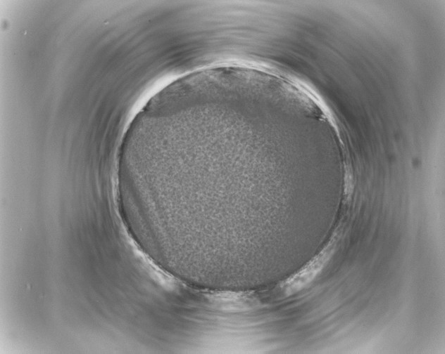 X0000087671048200705251614