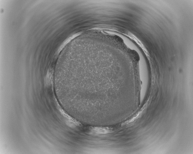 X0000087671049200705251614