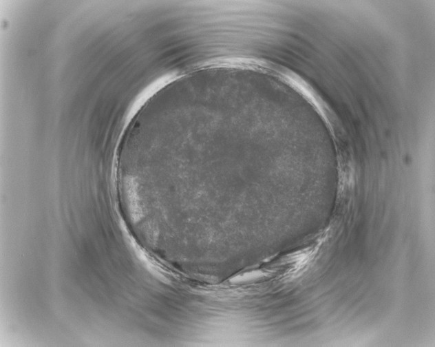 X0000087671050200705251614