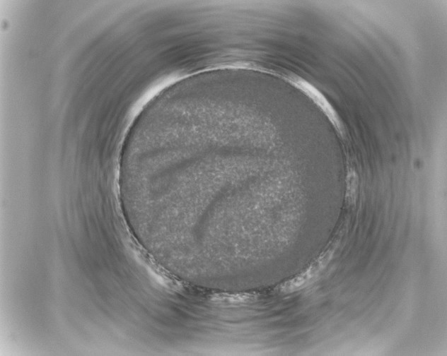 X0000087671051200705251614