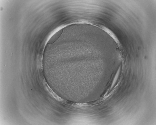 X0000087671052200705251614