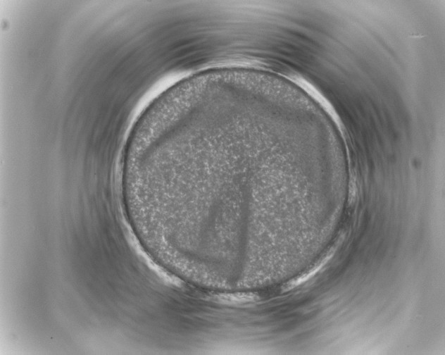 X0000087671053200705251614