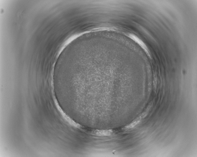 X0000087671055200705251614