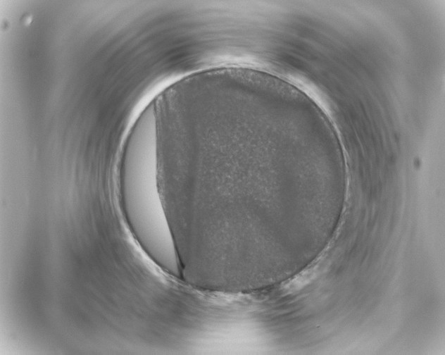 X0000087671056200705251614