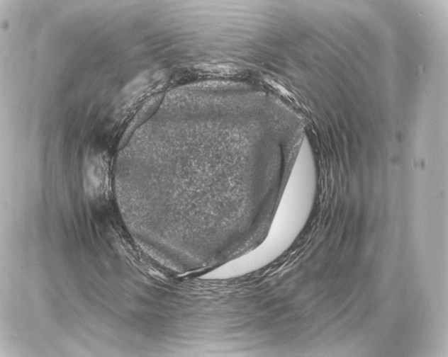 X0000087671058200705251613