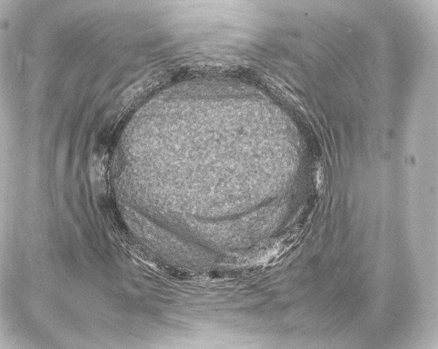 X0000087671059200705251613