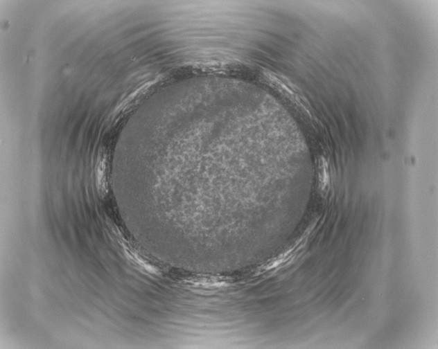 X0000087671060200705251613