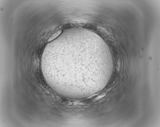 X0000087671061200705251613