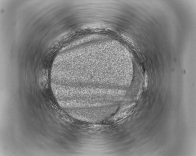 X0000087671062200705251613