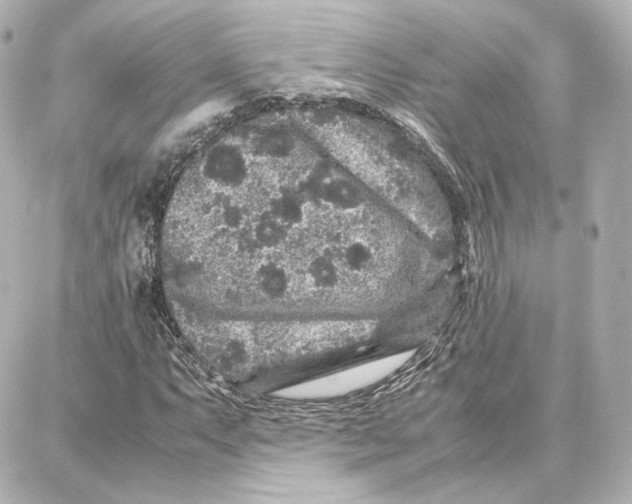 X0000087671063200705251613