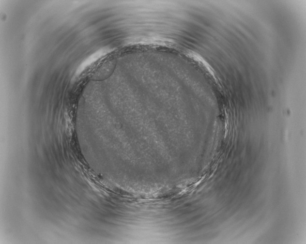 X0000087671064200705251613