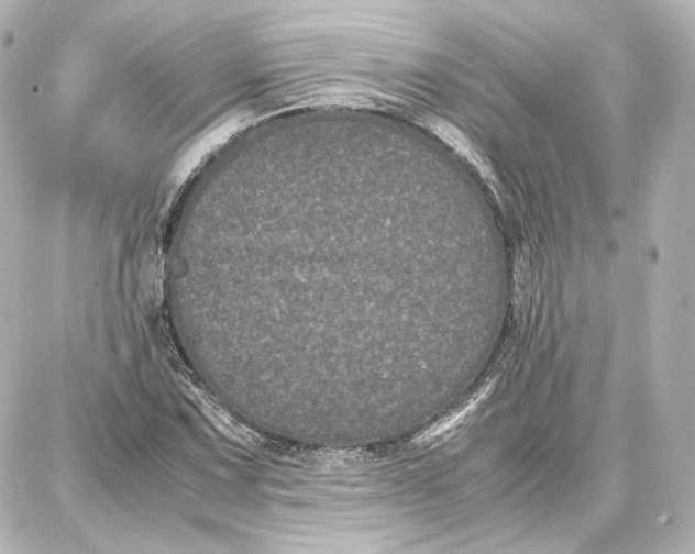 X0000087671067200705251613