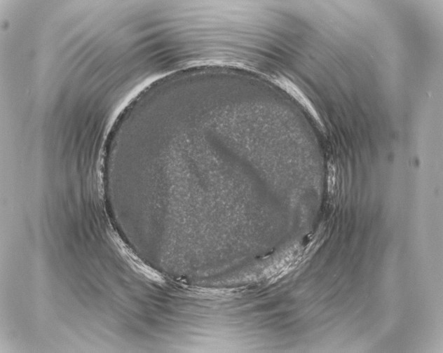 X0000087671068200705251613