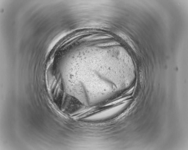 X0000087671069200705251613