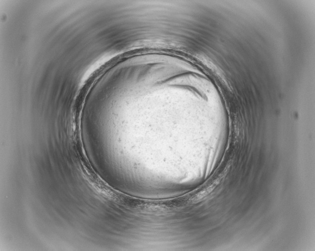 X0000087671070200705251613