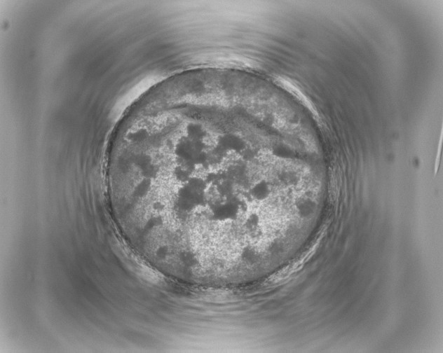 X0000087671071200705251613