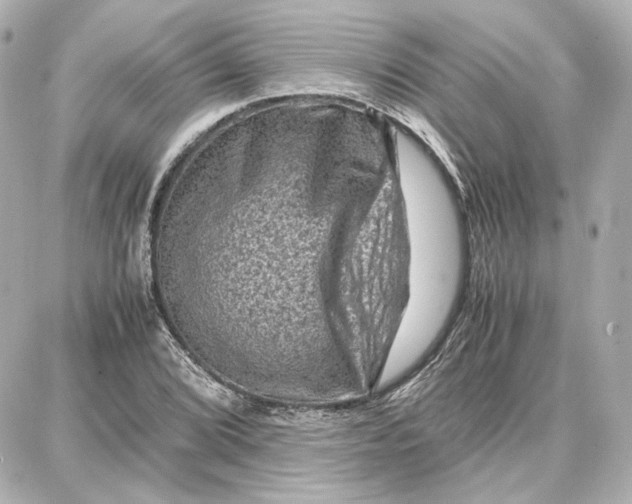 X0000087671072200705251613