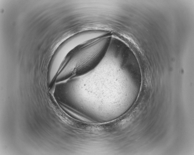 X0000087671073200705251613