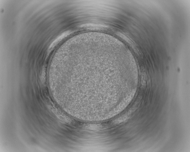 X0000087671074200705251613